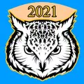 Owl VPN