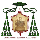 Sant'Agata - App Ufficiale icono