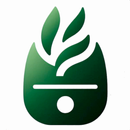 Recetas Saludables Airfryer APK