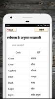 English to hindi vocabulary - शब्द संग्रह screenshot 3