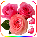 Roses Flowers wastickerApps-APK