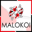 Malo Koi