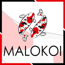 Malo Koi APK