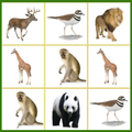 同様の動物ゲーム