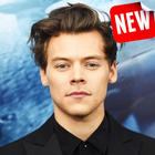 Harry Styles icon