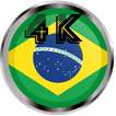 Brazil flag