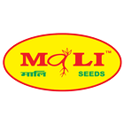 Mali Seeds icône