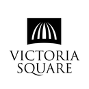 VSQ Team APK
