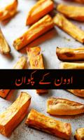 Oven Kay Pakwan Plakat