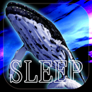 眠れない人のゲーム 夢鯨 擬似VR APK