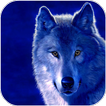 wolves wallpapers