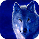lobos fondos de pantalla APK
