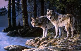 wolves wallpapers screenshot 1