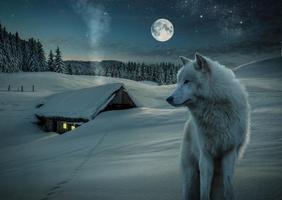 wolves wallpapers screenshot 2