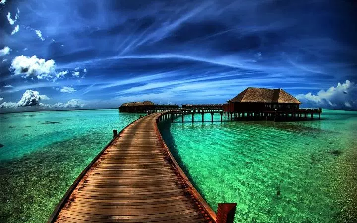 Descarga de APK de hermoso fondo de pantalla para Android Descarga de APK de hermoso fondo de pantalla para Android