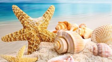 Các hình nền đẹp nhất ảnh chụp màn hình 2