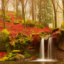 otoño fondos de pantalla APK