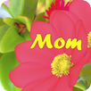 Messages for Mothers APK