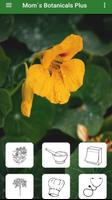 Mom´s Botanicals Plus الملصق