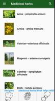 Mom´s Botanicals تصوير الشاشة 1