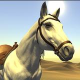 جراند صقر الصحراء - لعبة سباق APK