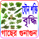যৌন শক্তি বৃদ্ধিতে গাছের গুনাগুন (চিত্রসহ) APK