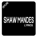 Shawn Mendes Lyrics - Señorita Ft Camila Cabello APK