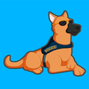 K9 Run APK