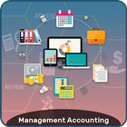 Management Accounting icône