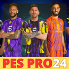 ePes Pro 24 Football Riddle icône