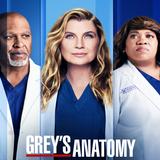 Grey's Anatomy Quiz biểu tượng