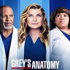 Grey's Anatomy Quiz ikona