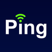 ”Ping IP
