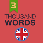 1000 Words (advanced level)-icoon