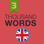 1000 Words (advanced level) icon