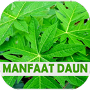 Manfaat Daun Lengkap APK