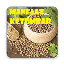 Manfaat Ketumbar APK