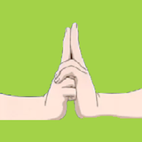 jut.su аниме на русском icono