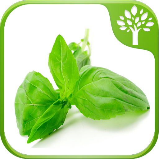 Home Remedies - Natural Cure