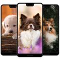 Dog & Puppy Wallpapers