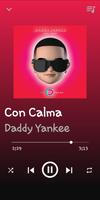 Daddy Yankee, Snow - Con Calma Affiche