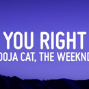Doja Cat, The Weeknd - You Right - Yeezy Music APK