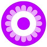APK Manifestly: Affirm & Manifest