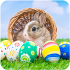 Happy Easter Wallpaper 2022 icon