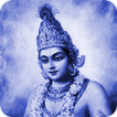 Mini Gita