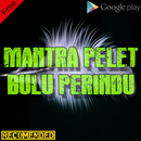 Mantra Pelet Bulu Perindu Terbaik Sepanjang Masa APK