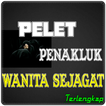 Mantra Pelet Penakluk Wanita S