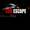 CAR ESCAPE icon