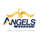 Angels Export simgesi