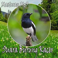 Suara Burung Kacermania Terbaik APK 下載